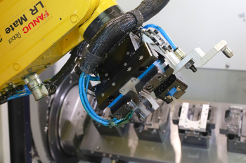 Fanuc SW